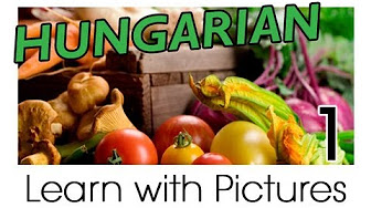 Learn Hungarian - Learn Hungarian Vocabulary with Pictures