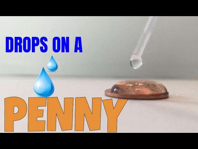 Drops of water on a PENNY experiment / How many drops can fit on a penny?