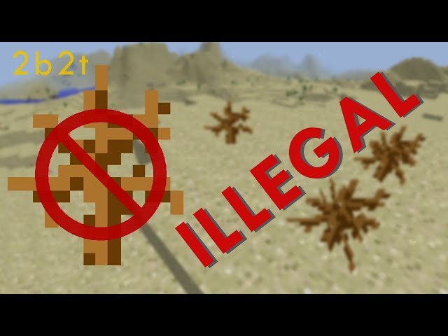 Why Are Dead Bushes Illegal on 2b2t?