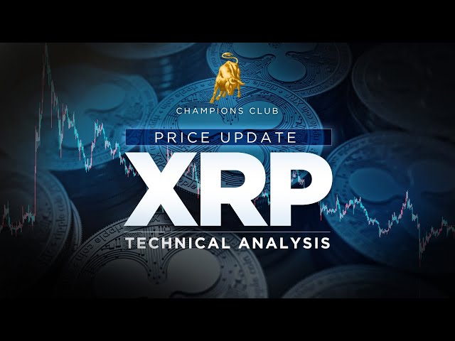 XRP The Conclusion - Video 5/5 series