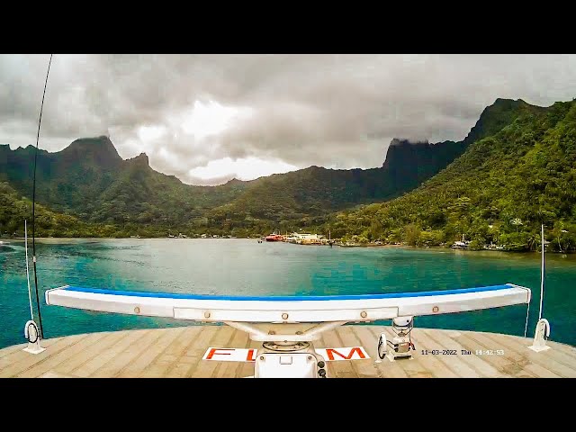 🔴🅻🅸🆅🅴🔴Fast Ferry Crossing Between Tahiti & Moorea Islands⚓French Polynesia⛵Papeete and Vaiare#live