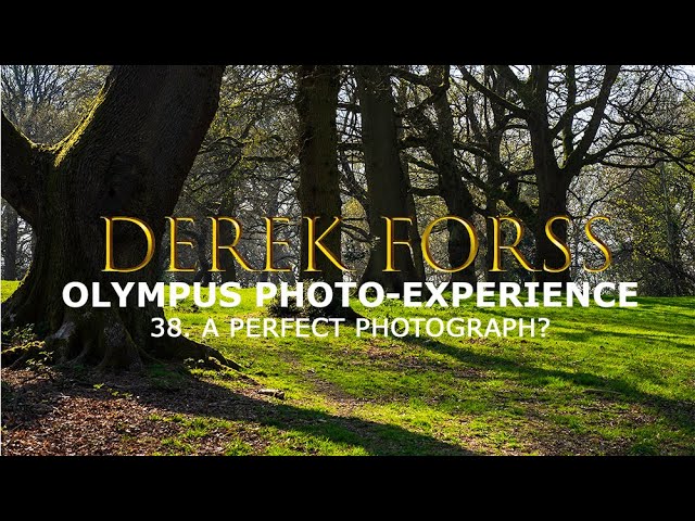 Olympus Photo - experience 38 - A Perfect Photograph