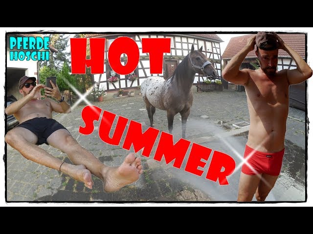 Heißer Sommer - Abkühlung für Mensch und Tier | Pferde Hoschi