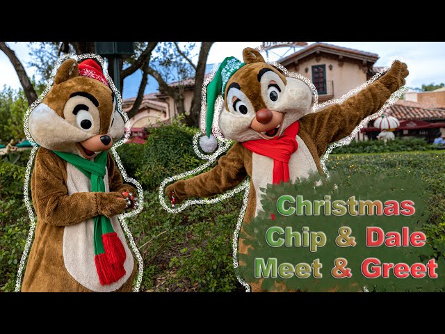 8K Christmas Chip & Dale Meet & Greet in Disney's Hollywood Studios VR180 3D