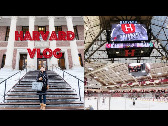 (中文English Subs) ❤️ Elaine Hau - Vlog: 哈佛校園生活 Harvard School Life 📚