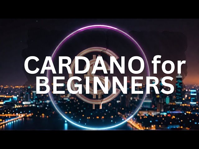 Cardano for beginners