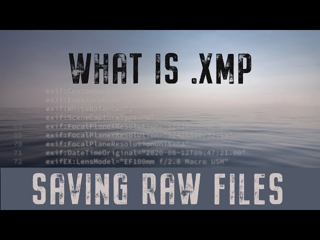 .xmp What is a .xmp File, why I keep them and how to get rid of it.