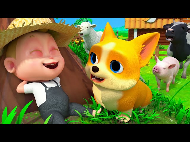 Old MacDonald Had A Farm Song | Animals Dance Together Song | Imagine Kids Songs & Nursery Rhymes