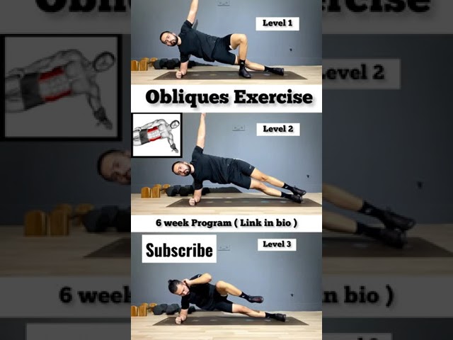 0bliques Exercise #shorts #exercise #fitfam #fitness #fitnessjourney #homeworkout #armworkout#fitmax