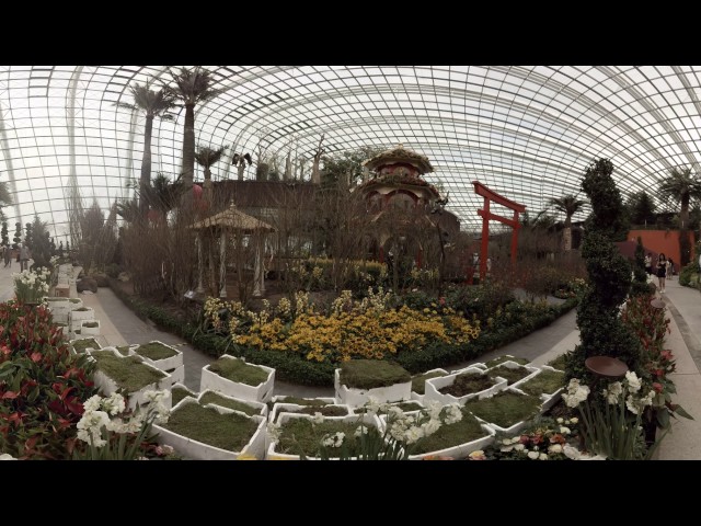 360 video: Exploring Flower Dome, Singapore
