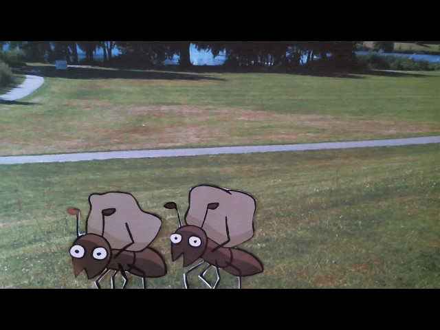 Die fleißigen Ameisen