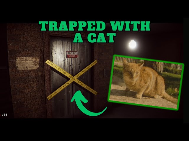 A Cat is Your Only Friend While You Try to Escape a Haunted Stairway | Stairway 7