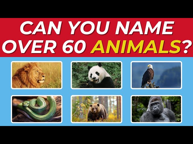 Guess 60+ Animals in Under 5 Seconds 🐢🦁 | Ultimate Animal Quiz | OneTwo3via