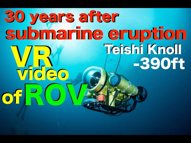 手石海丘【VR】Underwater 360video of "Teishi knoll" 30 years after the submarine eruption  伊東沖噴火 30年後の水中映像