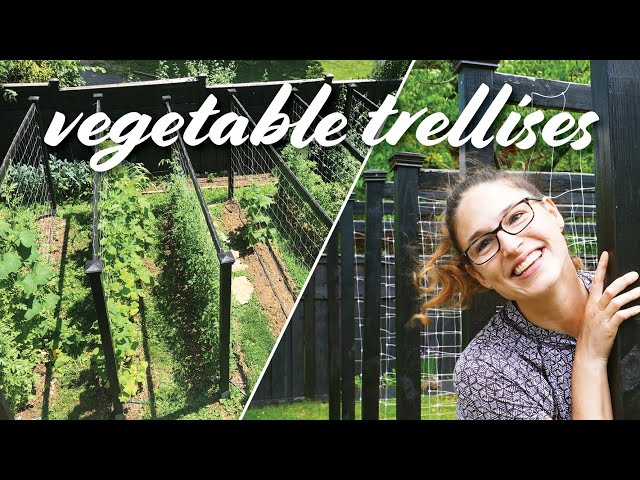 My Garden Trellis for Vegetables | DIY Design for Cucumbers, Tomatoes & Beans