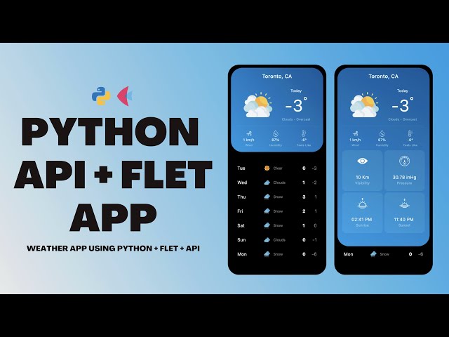 Python API Tutorial + Flet + JSON + Weather App