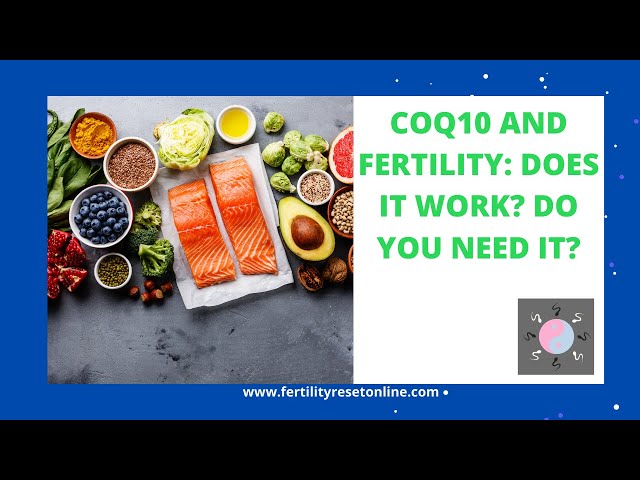 CoQ10 and Fertility: Does It Work? Do I Need It?