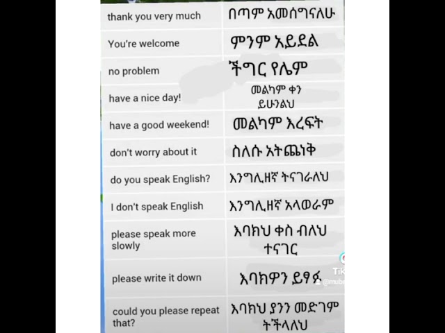 |እንግሊዘኛን በአማረኛ መማር | #11 ቀላል የእንግሊዘኛ አረፍተ ነገሮች | English in Amharic.#shorts