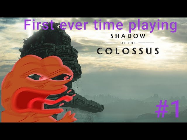 First ever time playing Shadow of the colossus