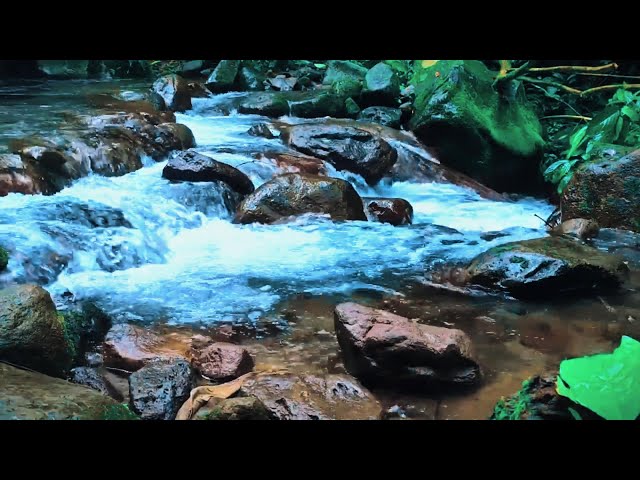 Relaxing River Sound makes the soul calm, relieves stress, helps yoga, helps sleep soundly