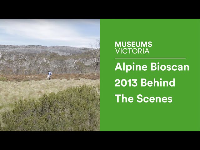 Alpine Bioscan 2013 | Behind The Scenes
