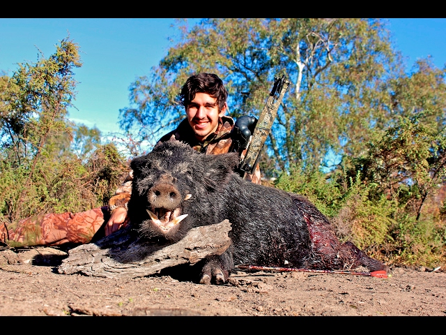 Bowhunting Feral Pigs, Australia - Winter Boars - Twin Elements #Throwbacks