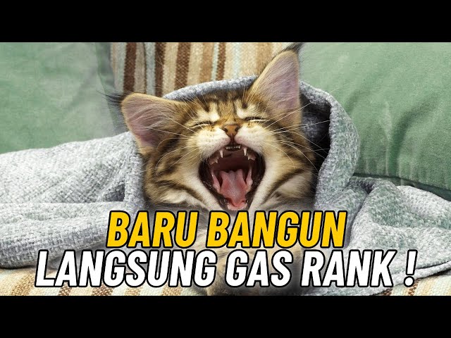 BARU BANGUN LANGSUNG GAS RANK ! - Blood Strike PC Indonesia Gameplay 2024