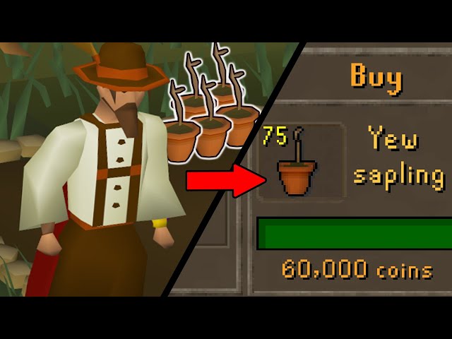 I have Just Started a 465 Day Grind and I Can't Leave! GE Only #26 [OSRS]
