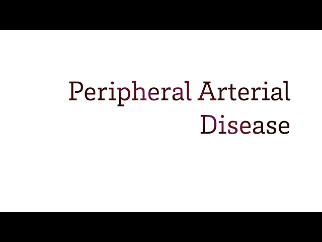 Peripheral Arterial Disease | Vascular Surgery