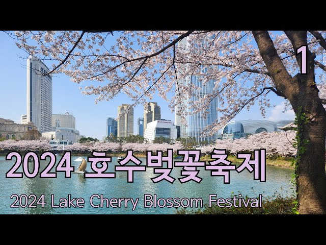 [8K VR180] 같이 석촌호수 걸어요!, 2024 호수벚꽃축제 : 1편 - 2024 Lake Cherry Blossom Festival : Part 1