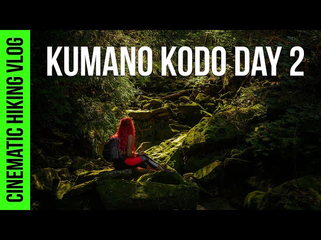 Hiking in Japan's Countryside & Cinematic Walk through a Mystical Forest  - Kumano Kodo Part 2