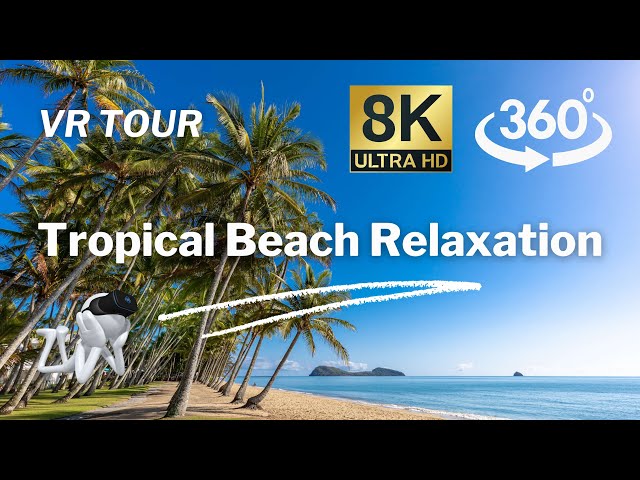 【360°VR】Palm Cove Australia /10 min No Music Natural Sounds - Virtual Nature Relaxation 8K Video