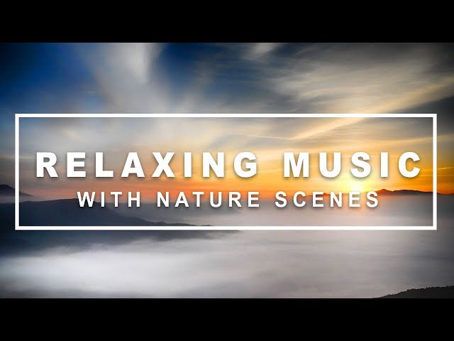 Relaxing Music with Nature Scenes - Peaceful Ambient Music for Sleep, Study & Stress Relief
