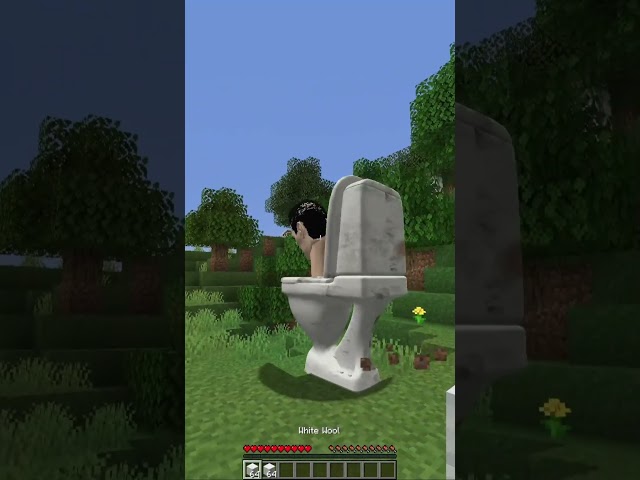 Always Help A Skibidi Toilet Family In Need... 😥😥#shorts #minecraft