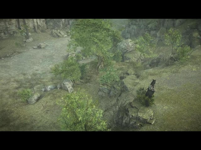 SHADOW OF THE COLOSSUS: Hydrus Boss Fight