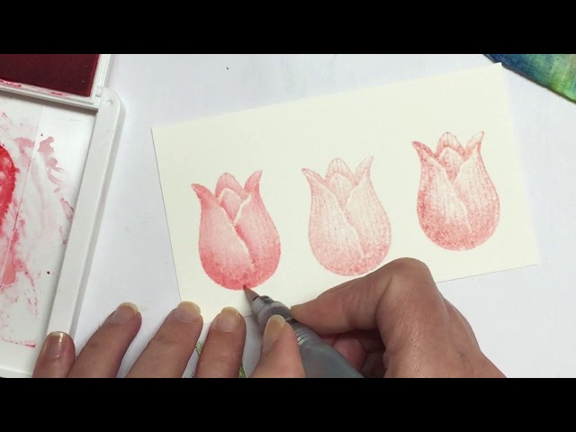 STAMPIN' UP: How to Watercolour the Timeless Tulips Stamp Set to enhance the images