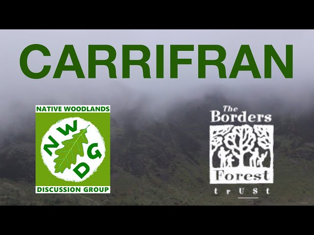 Carrifran Wildwood | Grassroots Ecological Restoration on a Landscape Scale