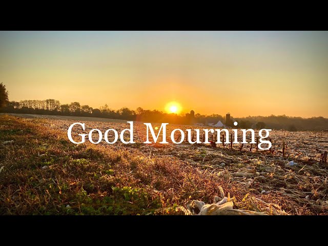 Good Mourning (A Short Film)