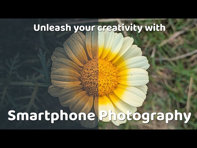 Behind the Lens   Capturing the Beauty of Flowers with Google Pixel 3