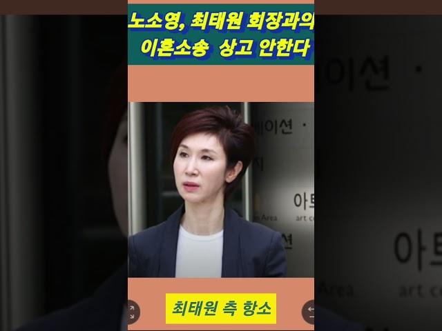 노소영, 최태원 이혼소송 상고 안한다