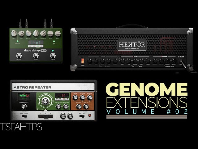 This amp RULES!! Genome Extensions Volume #02 - Two notes