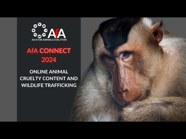 Online Animal Cruelty Content and Wildlife Trafficking