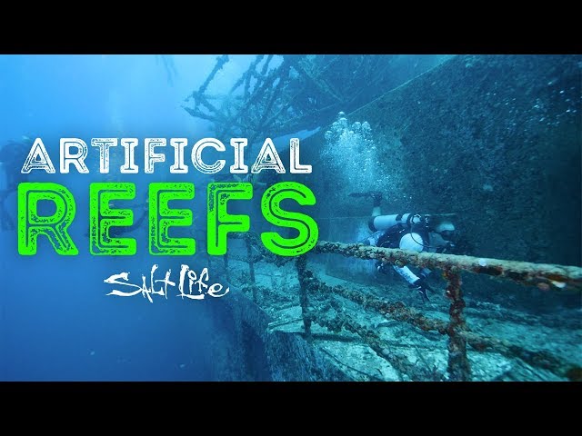 What are Artificial Reefs? | Salt Life
