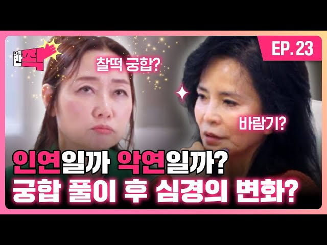 사주 풀이 후 복잡해진 마음, 반전의 마지막 데이트 신청까지?! | 나의 반쫙 | EP.23