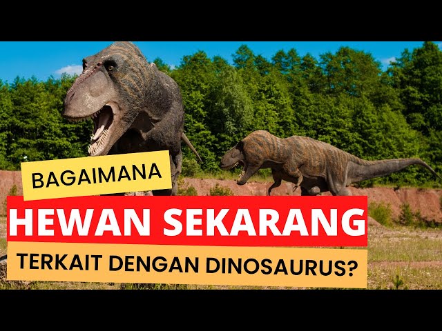 How Are Animals Now Related to Dinosaurs?