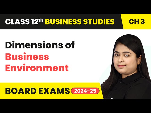 Dimensions of Business Environment | Class 12 Business Studies Chapter 3 | CBSE 2024