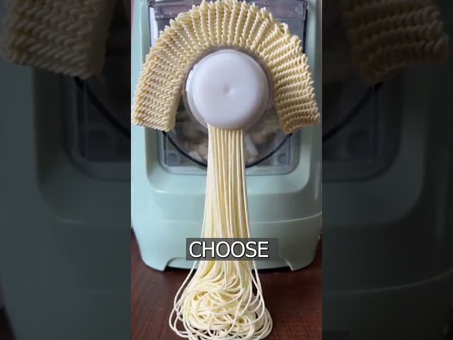 Chinese sell a food processor that makes any kind of PASTA