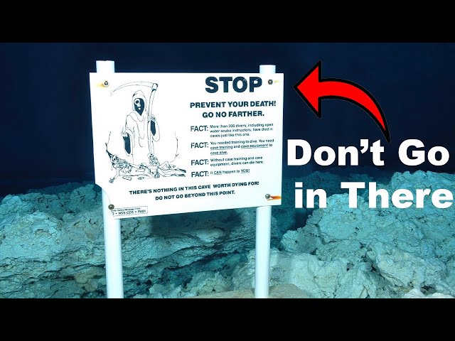 Cave Diving: A Real Life Horror Story