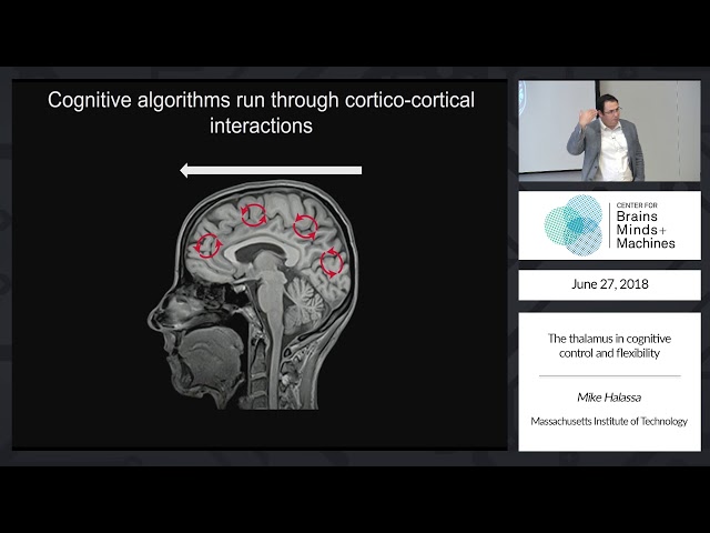 The thalamus in cognitive control and flexibility