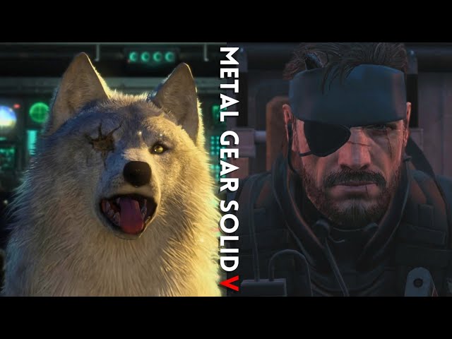 Hunting Down S Rank - Metal Gear Solid 5 - No Hud